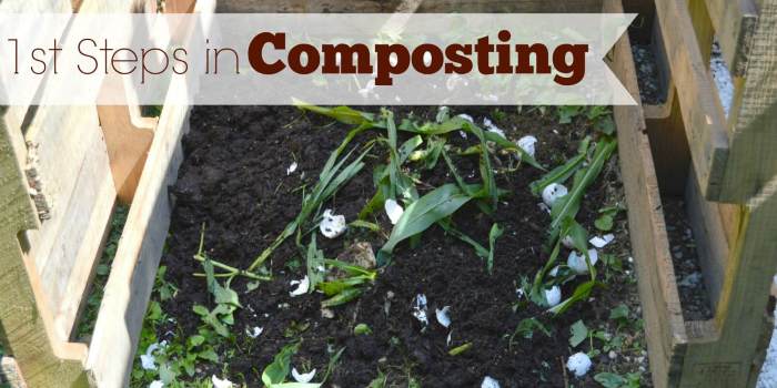 3 Steps to Composting for Beginners