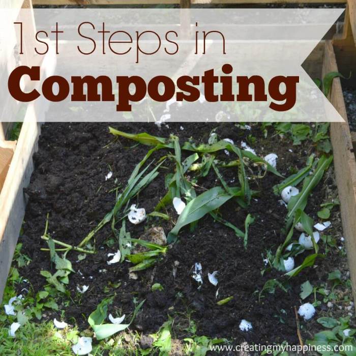 3 Steps to Composting for Beginners