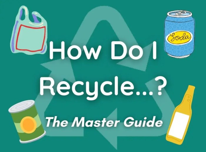 7 Simple Steps to Recycle Like a Pro