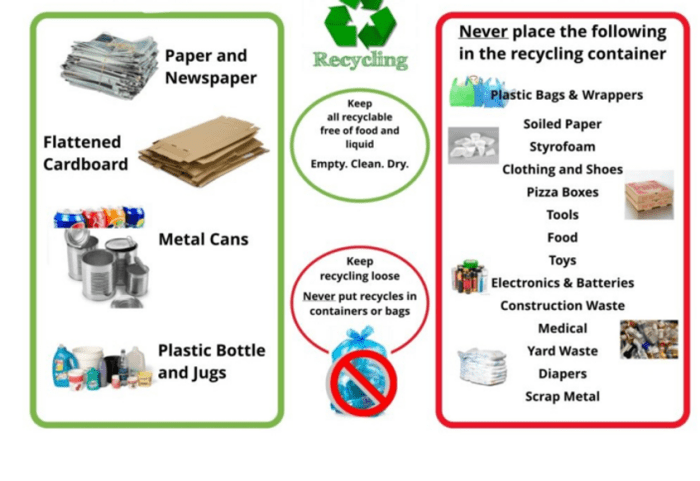 7 Simple Steps to Recycle Like a Pro