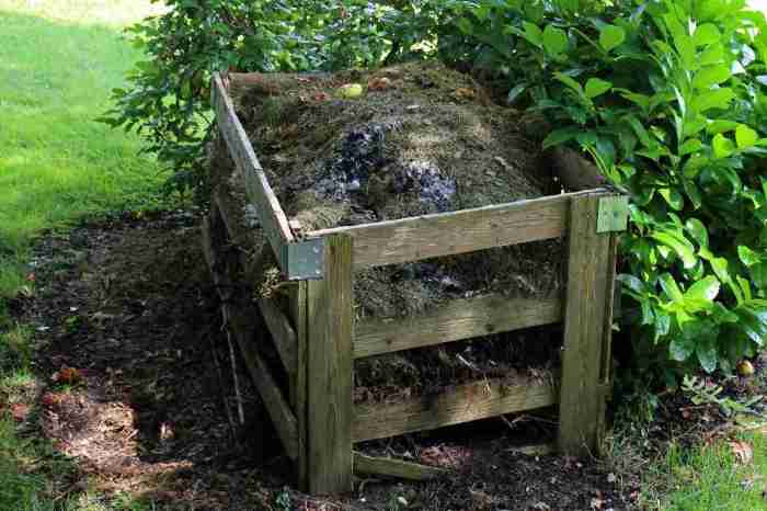 3 Steps to Composting for Beginners