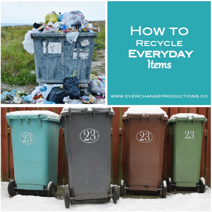 20 Easy Ways to Recycle Every Day