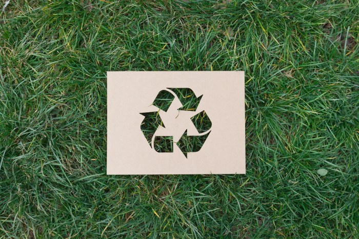 10 Ways to Reduce Waste and Recycle More