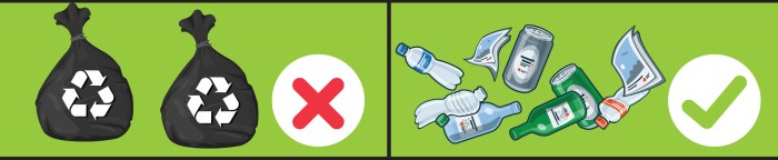 6 Common Recycling Mistakes to Avoid