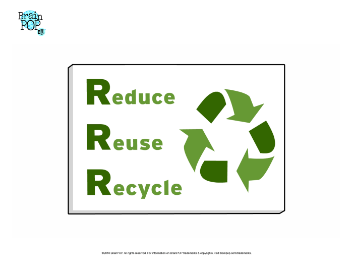 3 Steps to Reduce, Reuse, Recycle