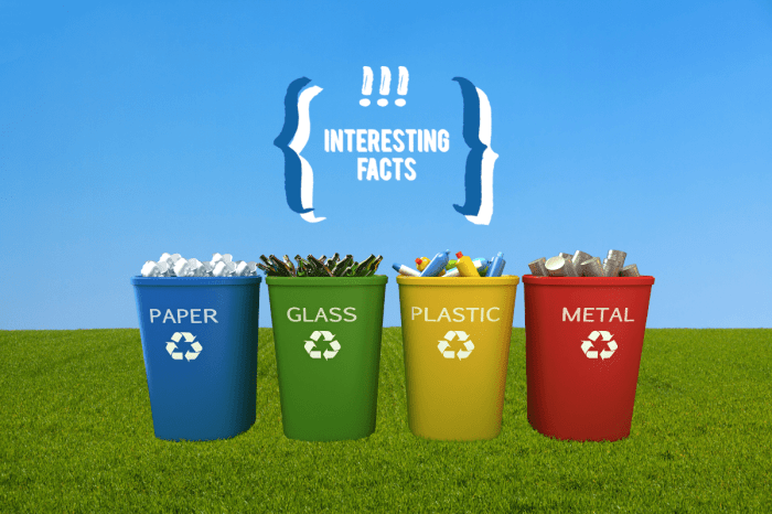 100 Recycling Tips for a Better Future