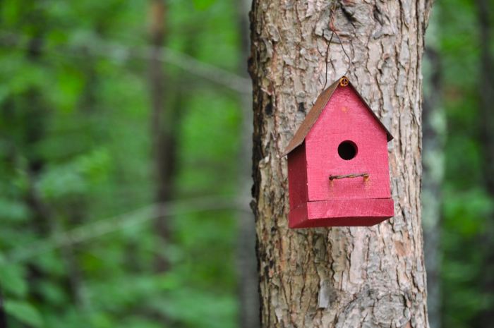 20 DIY Recycling Projects for Your Garden